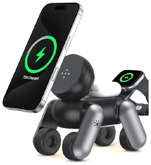 Echo Station Dogo