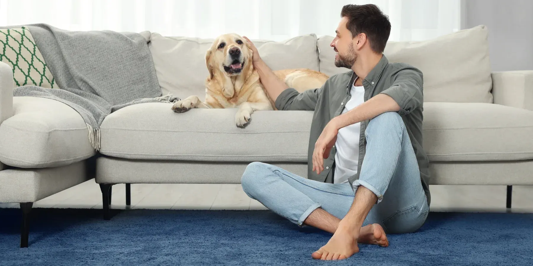 Homme assis au pied d'un canapé caressant son chien dans un salon lumineux
